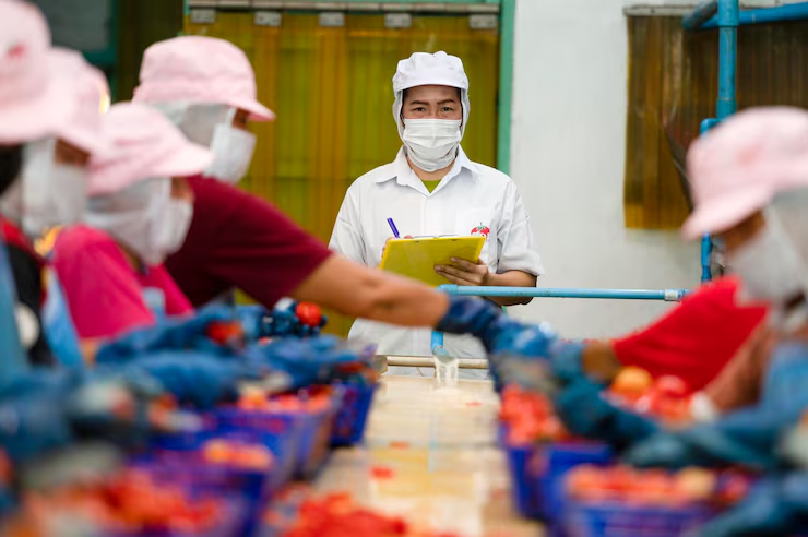 Quản lý chế biến thực phẩm tại Hy Lạp 2025